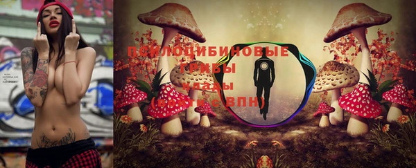 герыч Алзамай
