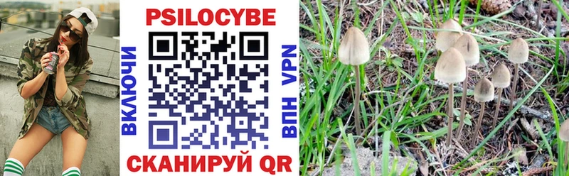 Псилоцибиновые грибы GOLDEN TEACHER  MEGA маркетплейс  Катайск 